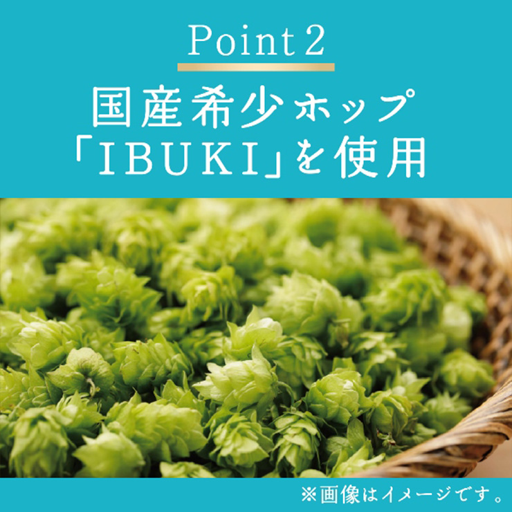 キリン（KIRIN） キリンビール 晴れ風 500ml 24本 2026年カレンダー