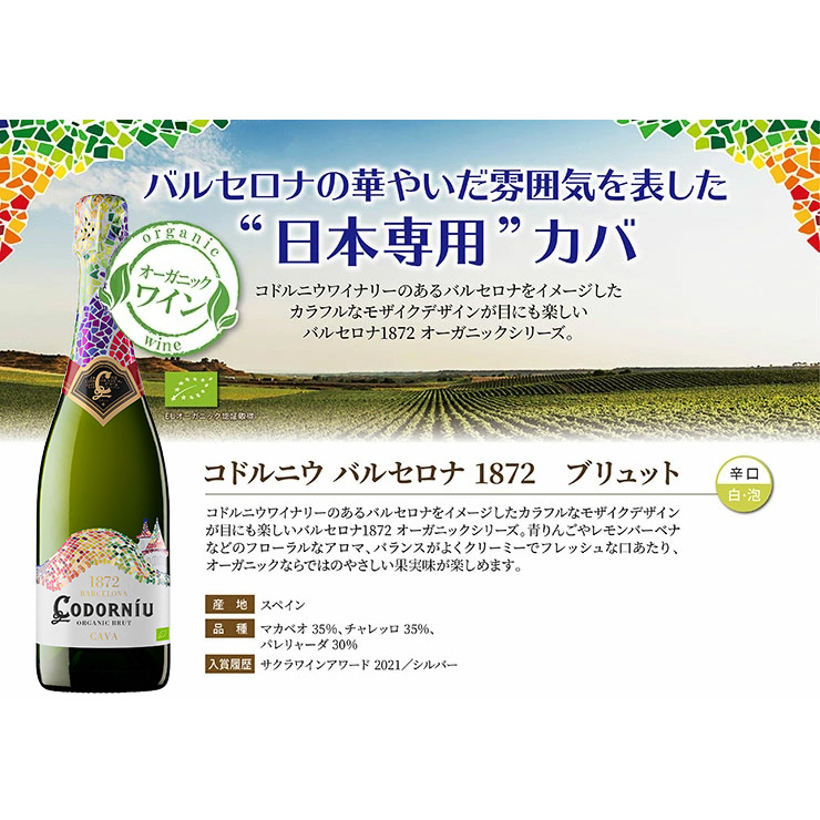 バルセロナワインセット スパークリング 白ワイン コドルニウ バルセロナ ブリュット＆ロゼ