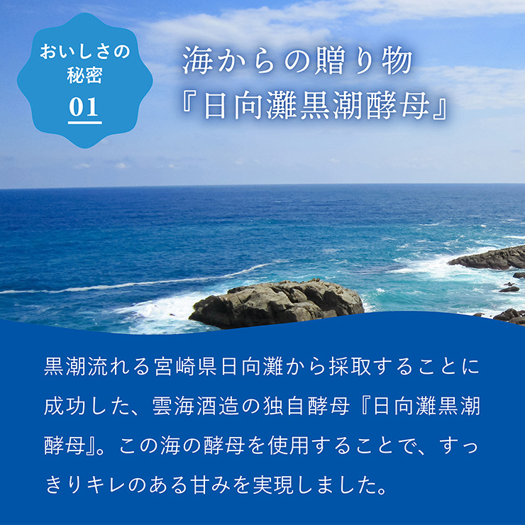 雲海酒造 焼酎 木挽BLUE 20度 パック 1800ml 6本 1ケース 芋焼酎