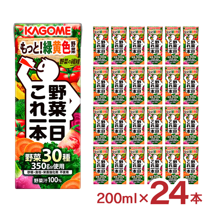 カゴメ 野菜ジュース 野菜一日これ一本 200ml 24本 (1ケース) 送料無料
