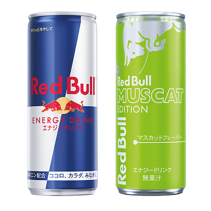 レッドブル（RedBull） 選べる セット 2ケース エナジードリンク 250ml