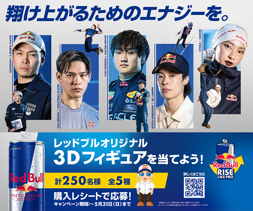 レッドブル（RedBull） エナジードリンク 缶 473ml 24本 (2ケース) 大