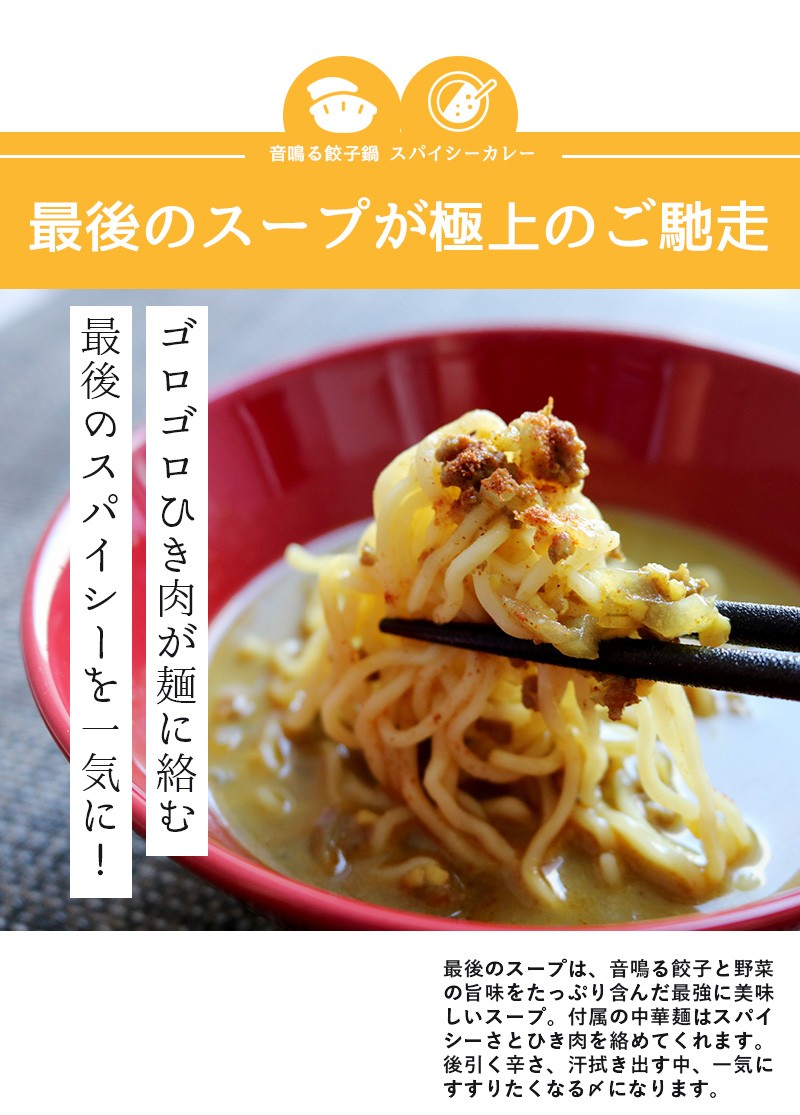 東京炎麻堂 カレー鍋 音鳴るぎょうざ鍋セット スパイシーカレー 5-6人前