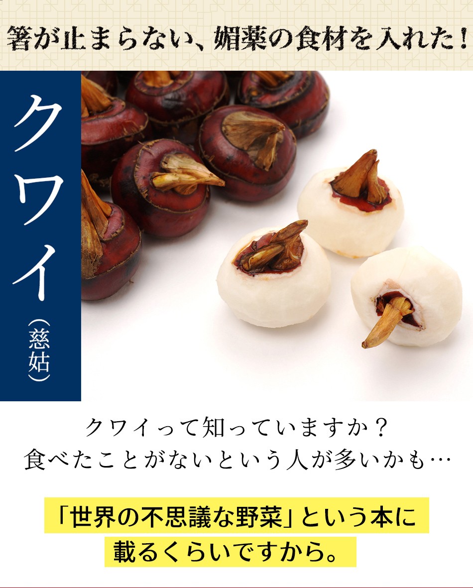 東京炎麻堂 ぎょうざ鍋セット 辛味噌ベース 3～4人前