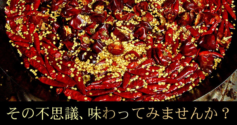 東京炎麻堂 ぎょうざ鍋セット 辛味噌ベース 3～4人前