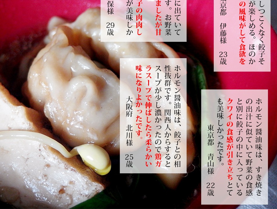 東京炎麻堂 ぎょうざ鍋セット ホルモン醤油ベース 5～6人前