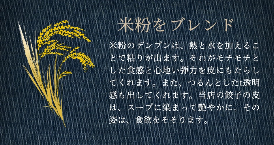 東京炎麻堂 ぎょうざ鍋セット ホルモン醤油ベース 3～4人前