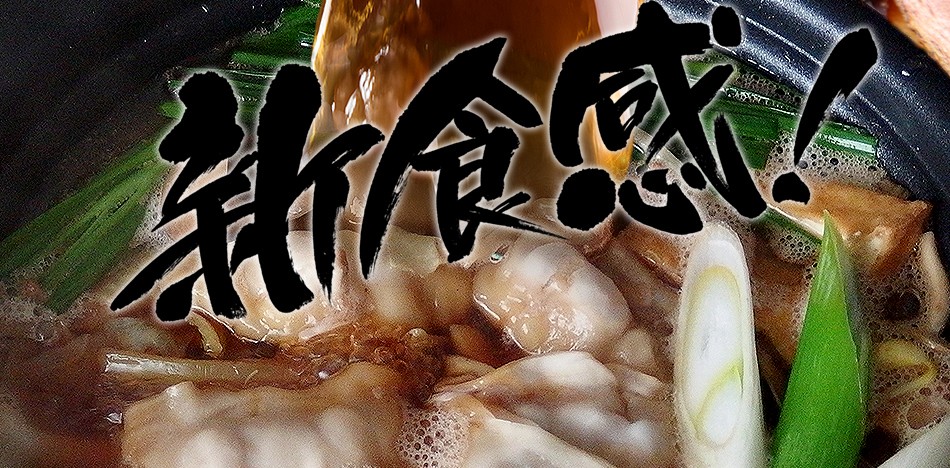 東京炎麻堂 ぎょうざ鍋セット ホルモン醤油ベース 3～4人前