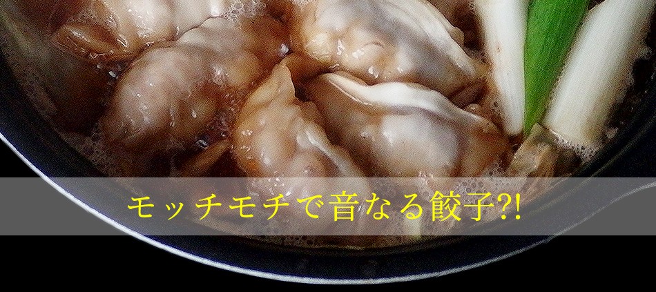 東京炎麻堂 ぎょうざ鍋セット ホルモン醤油ベース 3～4人前