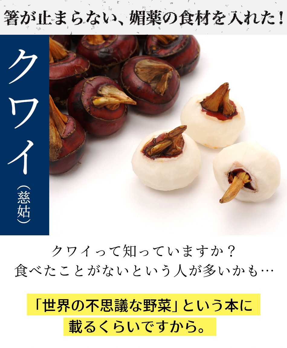 東京炎麻堂 ぎょうざ鍋セット ホルモン醤油ベース 3～4人前