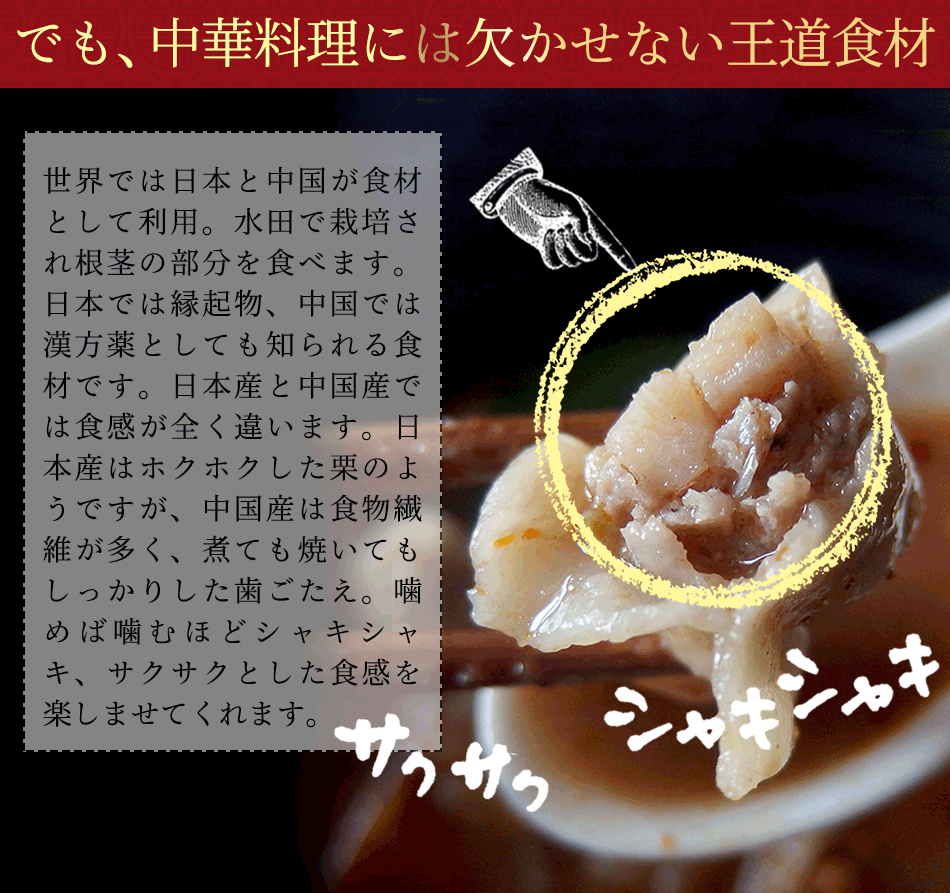 東京炎麻堂 ぎょうざ鍋セット ホルモン醤油ベース 3～4人前