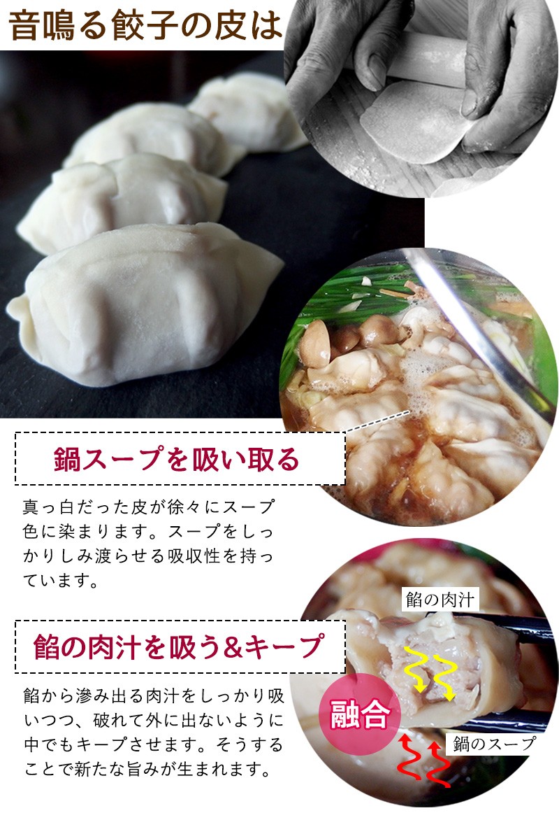 東京炎麻堂 トムヤムクン鍋 音鳴るぎょうざ鍋セット パクチートムヤムクン 5-6人前