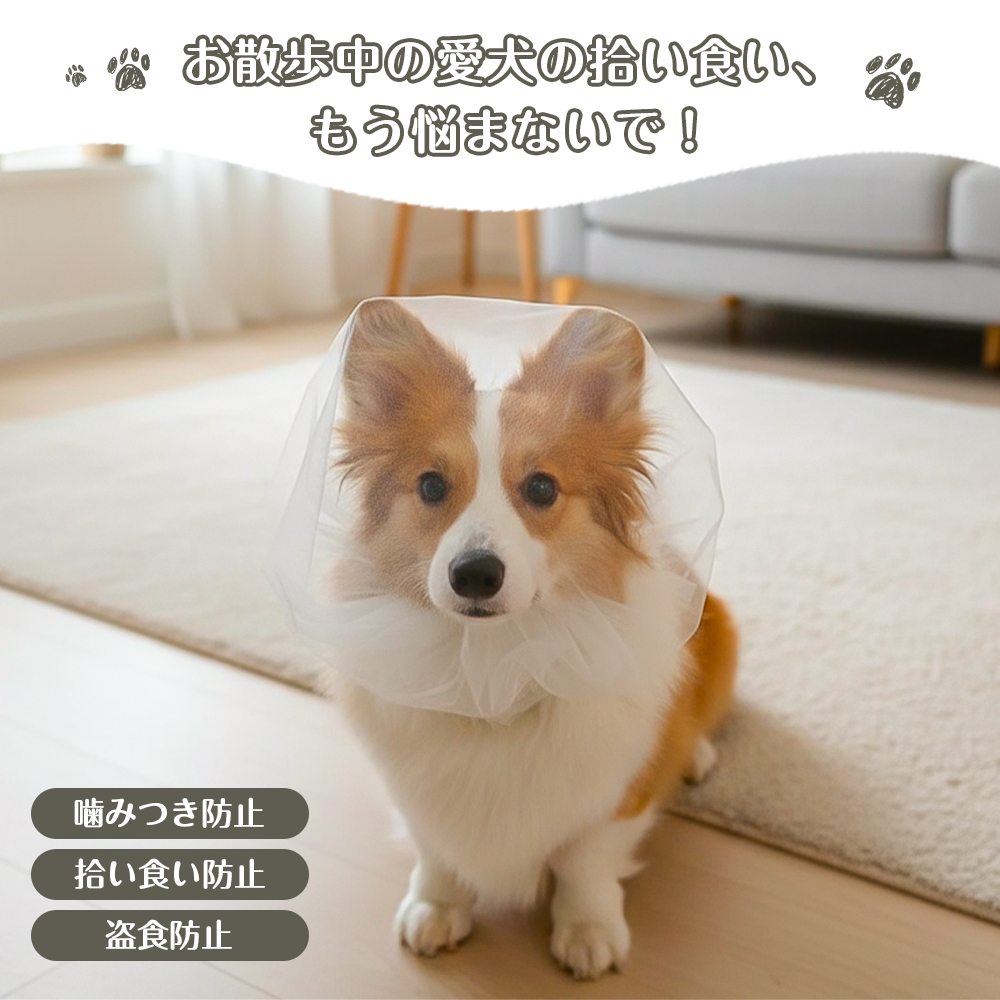 【最安1点400円!期間限定】拾い食い防止 犬...の詳細画像2
