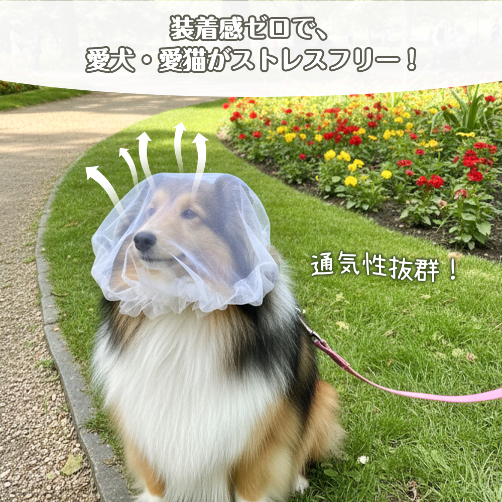 【最安1点400円!期間限定】拾い食い防止 犬...の詳細画像4