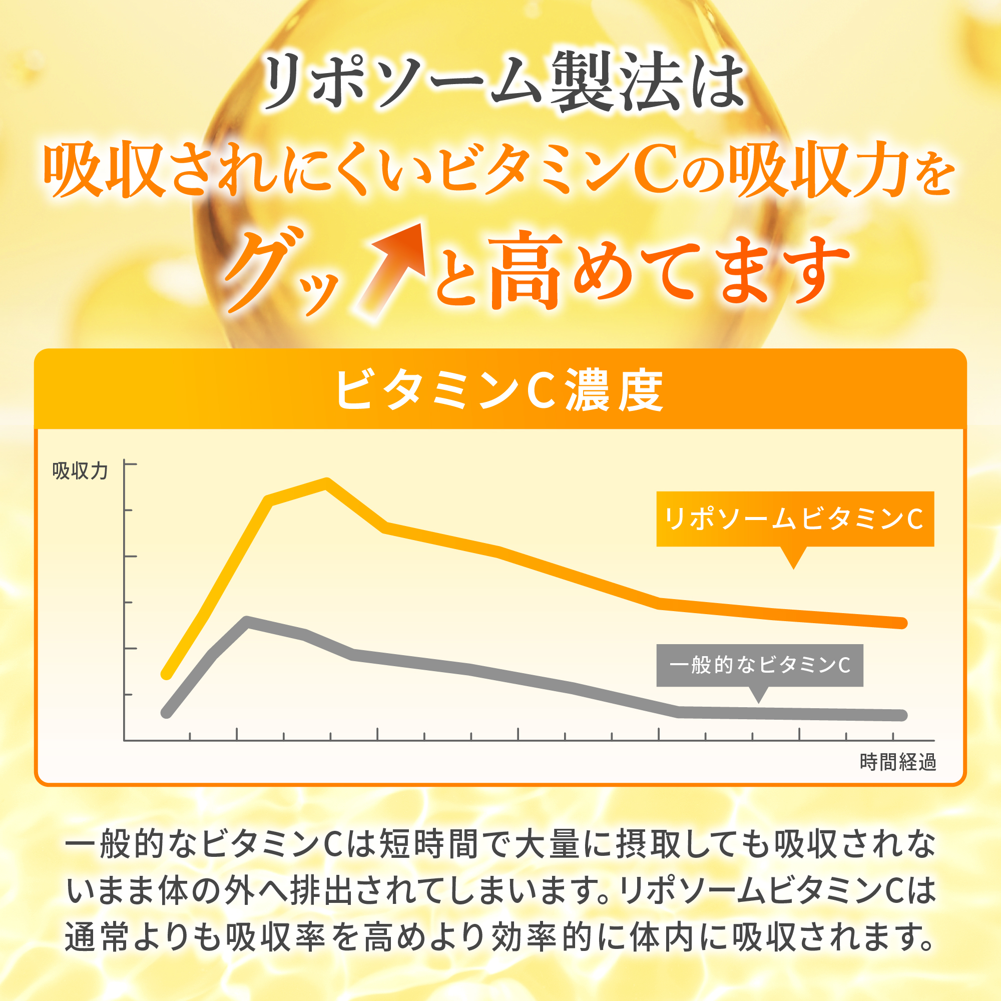 12_kyusyu_250618.jpg