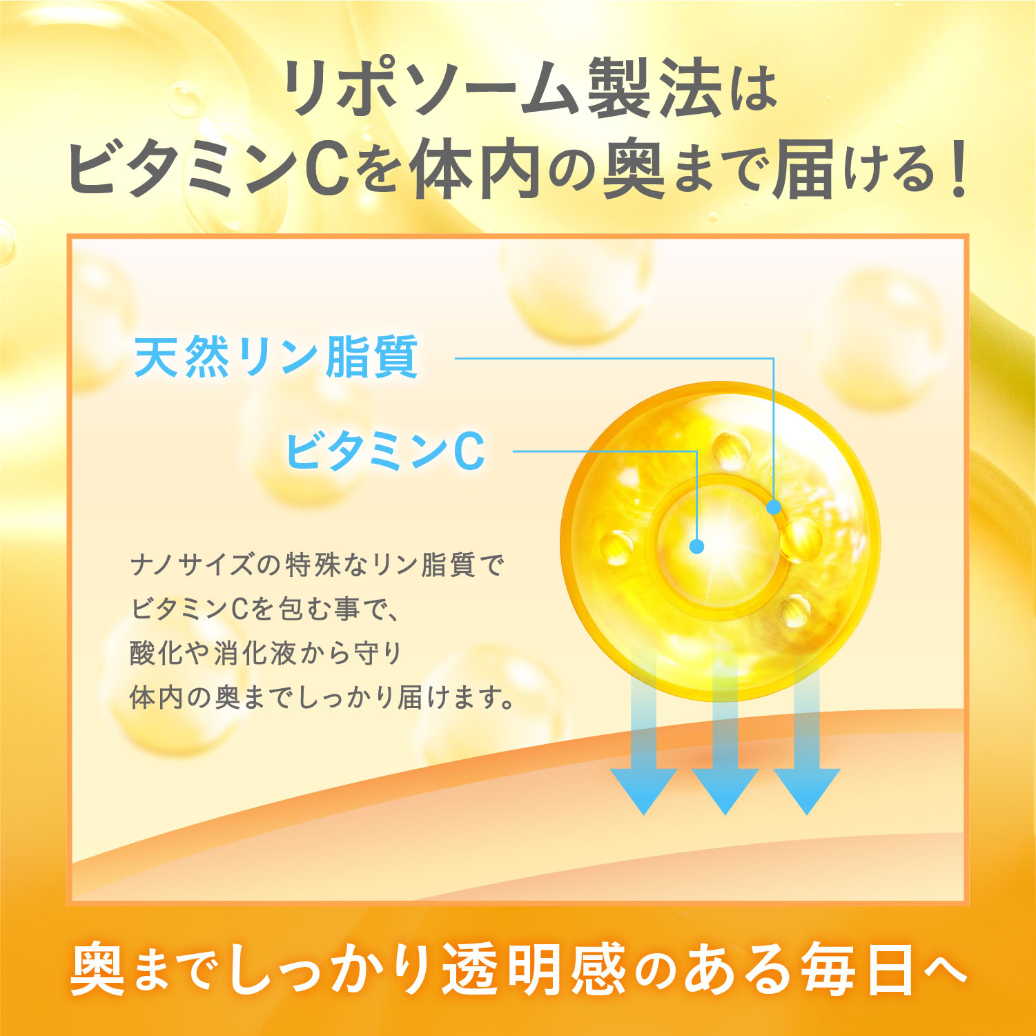 api　リポソームビタミンC Amazon | リポソーム ビタミンc サプリメント 持続型 高濃度 高