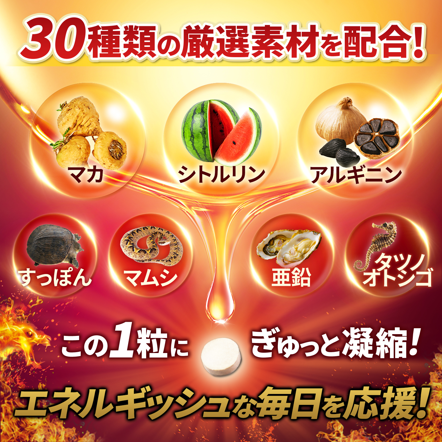 13_haigou_250529.jpg