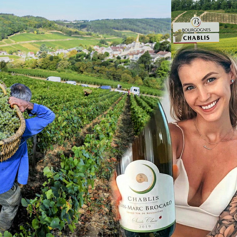 シャブリ グラン・クリュ レ・クロ 2020 ルイ・ジャド Louis Jadot Chablis Grand Cru Les Clos 750ml  : 4900251002197-44 : 青山ワインマーケット - 通販 - Yahoo!ショッピング