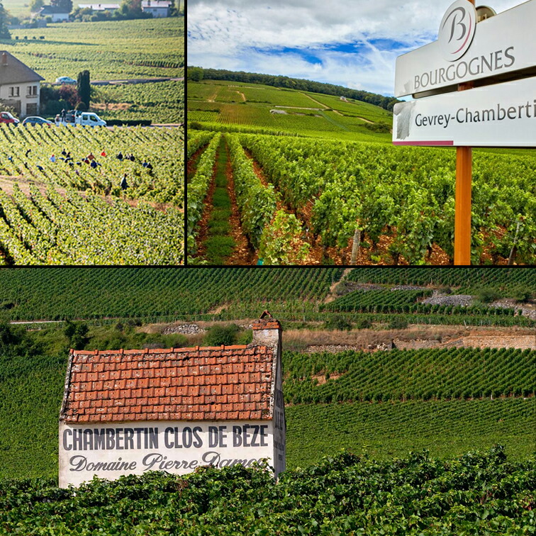 ボンヌ・マール グラン・クリュ 2018 ジョルジュ・リニエ Bonnes Mares