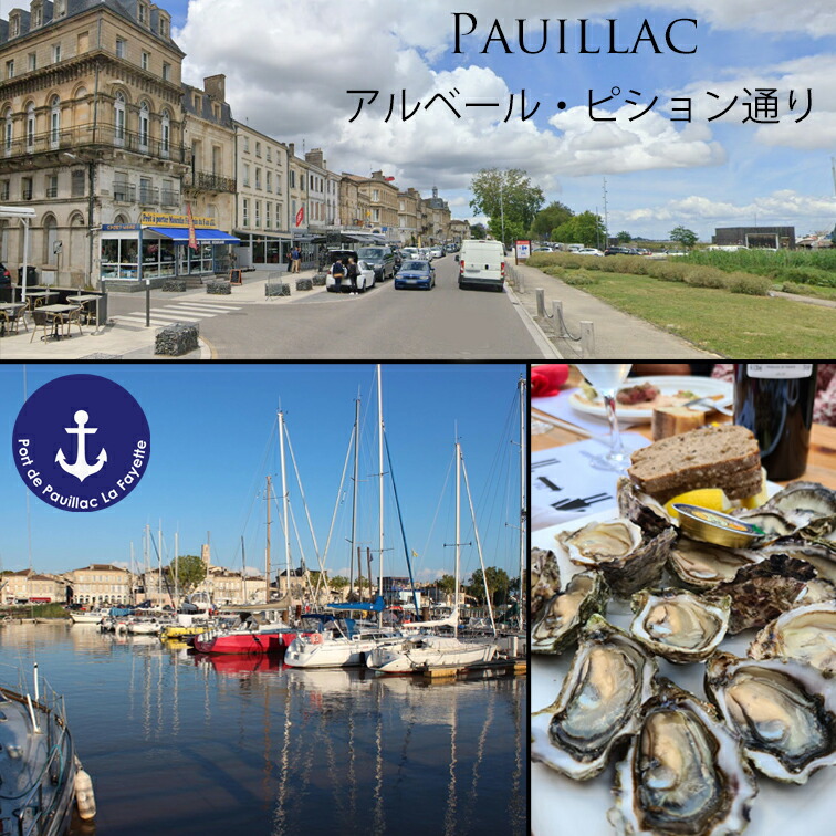 シャトー ランシュ ムーサ 1995 ポイヤック 格付け 5級 Chateau Lynch