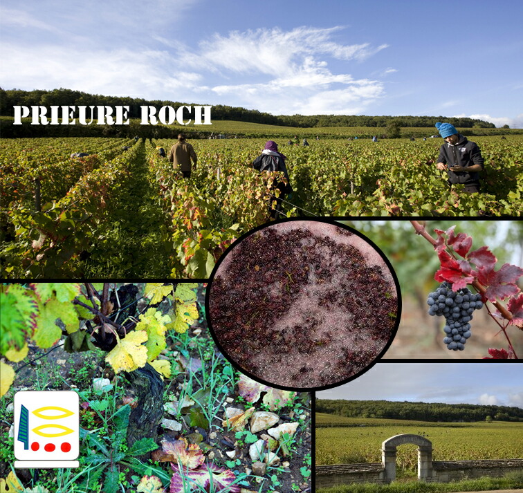 プリューレロック　2015ラドワ　lecloud prieure roch ラドワ ル・クル ルージュ 2015 プリューレ・ロック 赤 Ladoix Le Clou