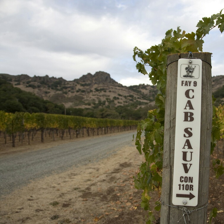 スタッグ スリープ セラーズ フェイ カベルネ ソーヴィニョン 2005