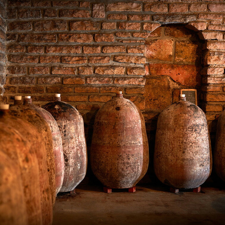 マルサネ・モゴット・モノポール・ルージュ 2021 ドメーヌ ミシェル