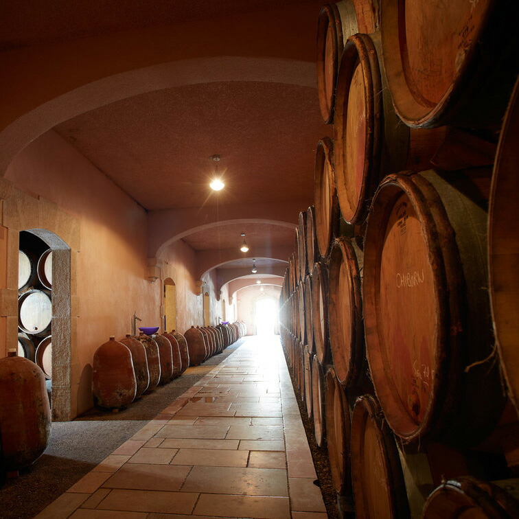 マルサネ・モゴット・モノポール・ルージュ 2021 ドメーヌ ミシェル