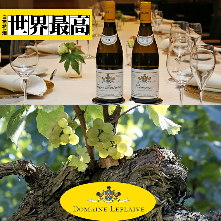 ブルゴーニュ ブラン 2021 ルフレーヴ エ アソシエ Bourgogne Blanc