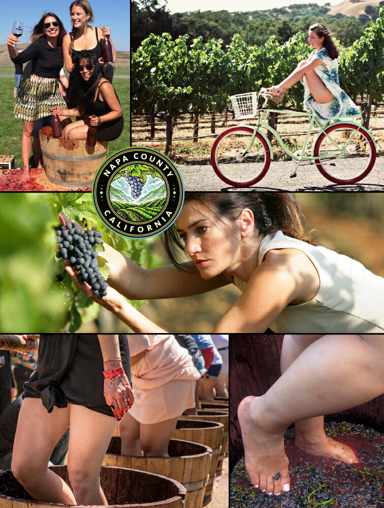 ★動作確認済み ボンド セント エデン グランクリュ 2018 BOND ST.EDEN SAINT EDEN NAPA VALLEY レッド カベルネ 750ml 赤ワイン フルボディ 【TMF1373596239】(49877円)