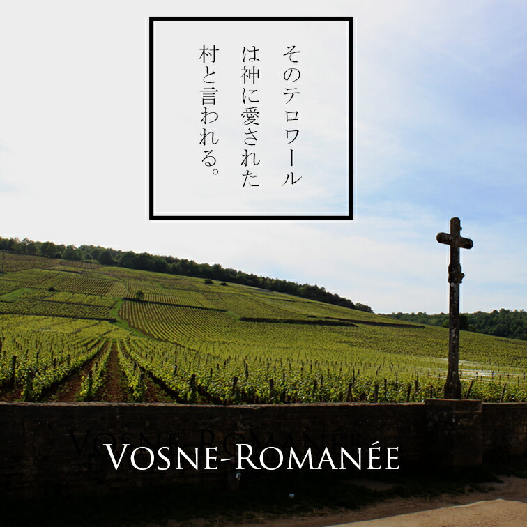 2007 バンジャマン・ルルー　ニュイ・サン・ジョルジュプリミエクリュオートレイ バンジャマン・ルルー - Wine Library