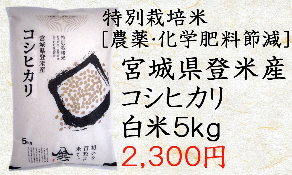 令和3年産 だて正夢 2.5kg 七分米 登米 農薬 米 化学肥料不使用 宮城 特別栽培米