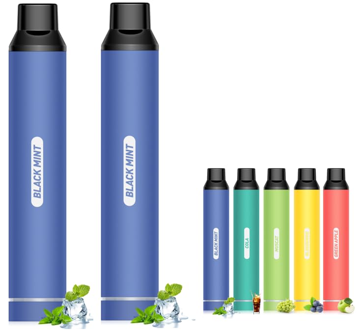 電子タバコ 使い捨て VAPE シーシャ 鬼ミント 2本 10000回吸引可能