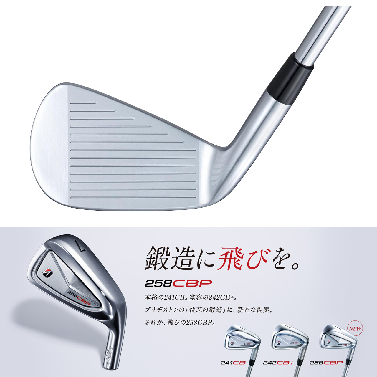 BRIDGESTONE GOLF 258CBP アイアンセット 6本（♯5〜9、PW） Diamana