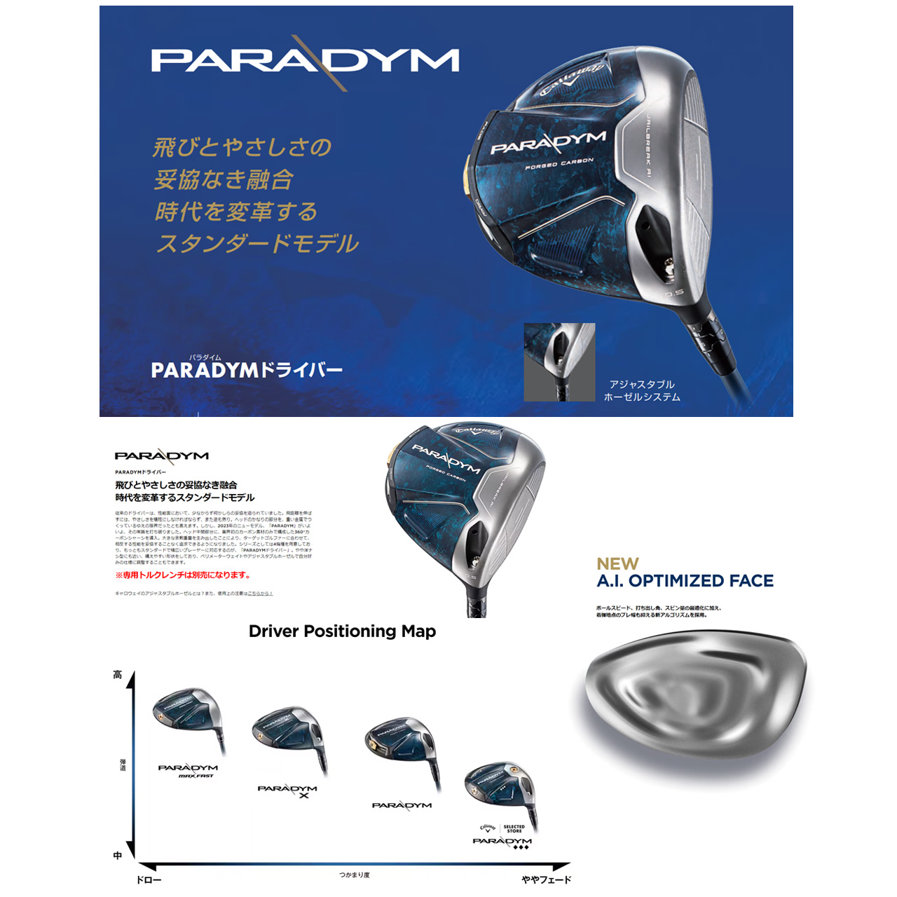 paradym-fw-m2.jpg