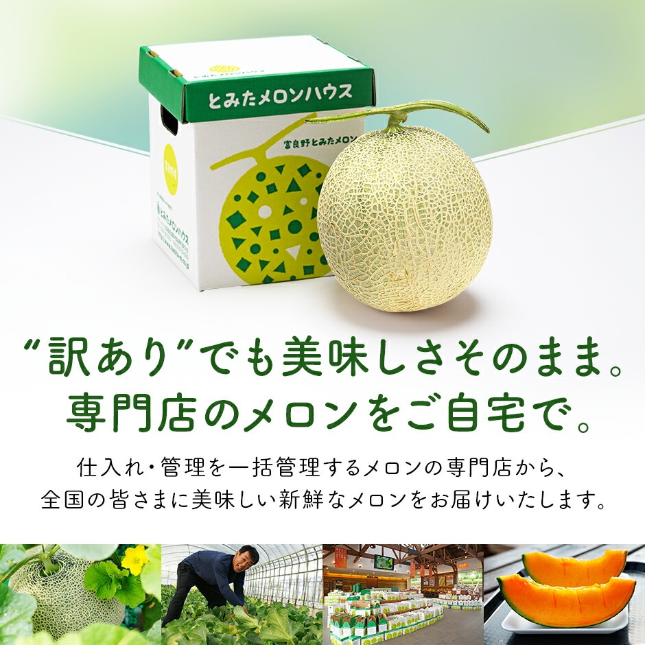 訳あり とみたメロン 約6kg 3玉入 北海道産（富良野メロン、他）送料無料 : 1391508 : とみたメロンハウスYahoo!ショップ - 通販  - Yahoo!ショッピング