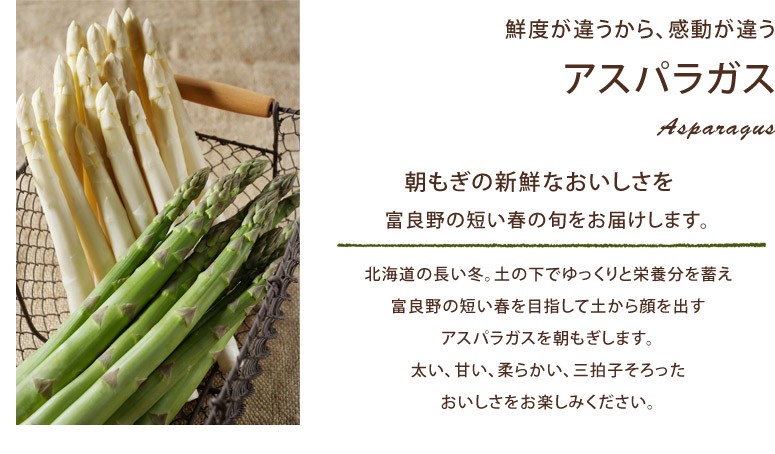 タイトル画像