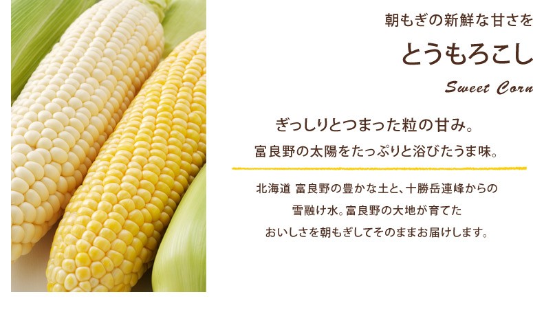 タイトル画像