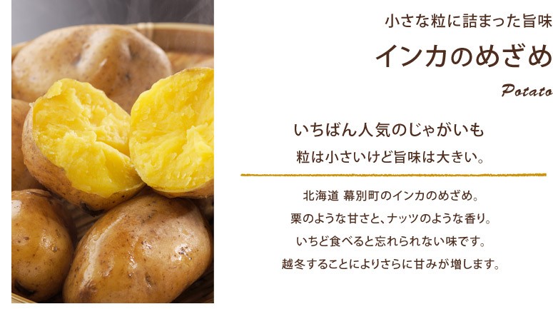 タイトル画像