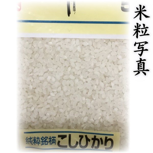 コシヒカリ10キログラム　熊本県阿蘇産　新米 コシヒカリ お米 米 10kg 白米 送料別 熊本県 阿蘇産 こしひかり