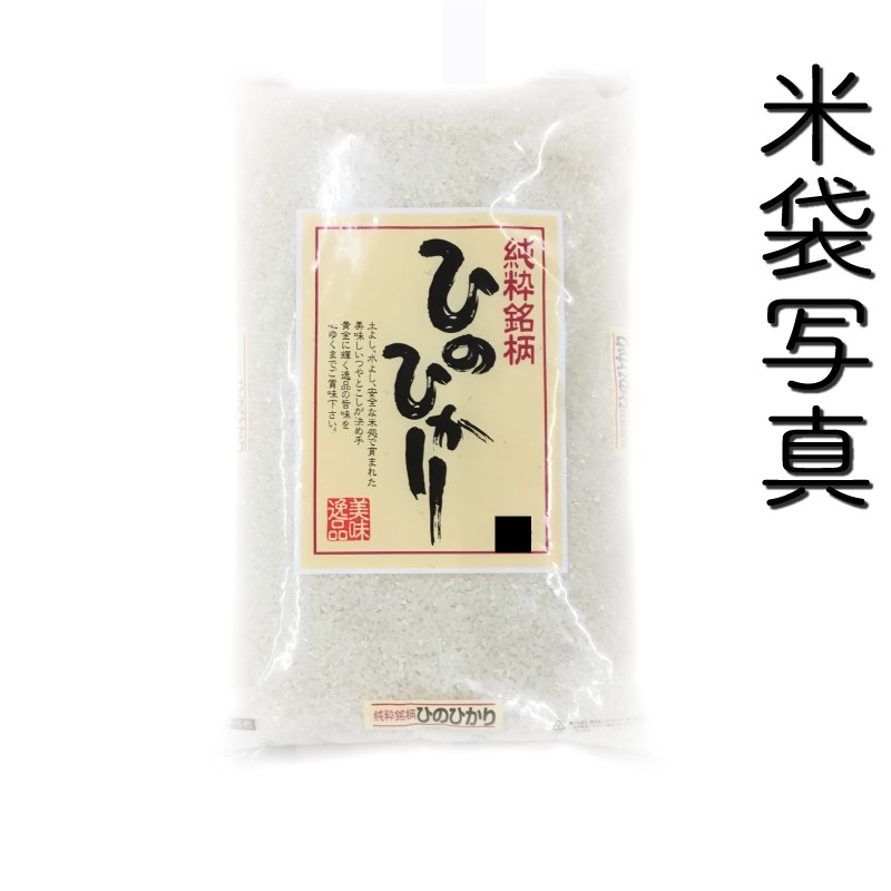 お米 米 5kg 白米 一等米使用 熊本県産 ひのひかり あすつく 令和5年産 