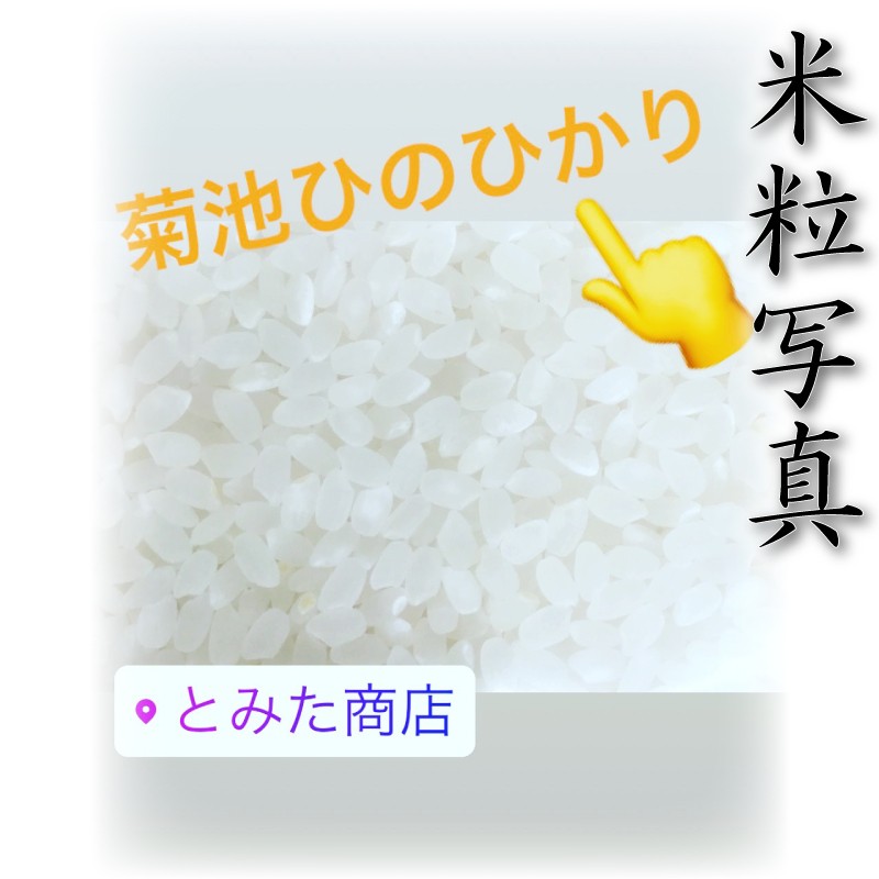 お米 米 10kg 白米 熊本県 菊池産 ひのひかり あすつく 新米 令和5年産