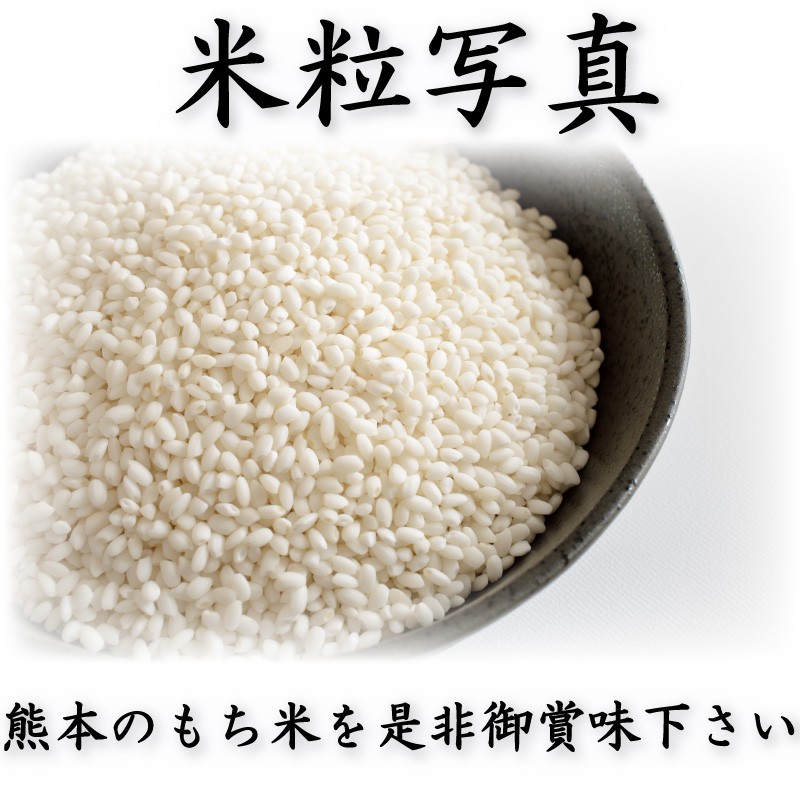 お米 米 1kg もち米 熊本県産 ヒヨクモチ 令和4年産 精白米 くまもとの
