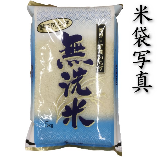 森のくまさん お米 米 5kg 白米 送料別 最短 無洗米 熊本県産 令和7