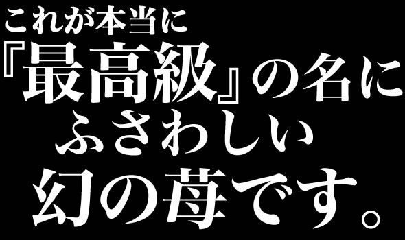 プレミアムフルーツ「さくらももいちご」