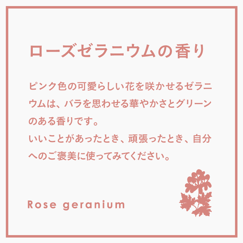 フレディ ランドリー柔軟剤ジェントリー ローズゼラニウム |  | 02