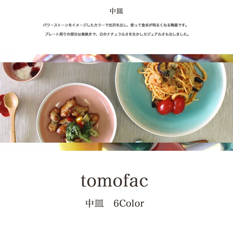 プレート中 中皿 波佐見焼 tomofac シャイニーカラー 和食器 プレート ストーンカラー シンプル ギフト セット プレゼント  :tomo-wazan0090-shiny-plte-m:TOMOFAC - 通販 - Yahoo!ショッピング