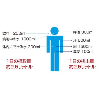 電子水生成器アレーファミリーセット 電子水 株式会社アレージャパン