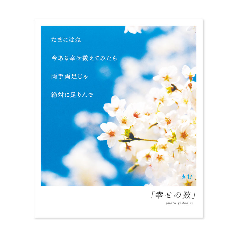 詩人きむ 言葉の花束ポストカード 「幸せの数」 名言 格言 詩人