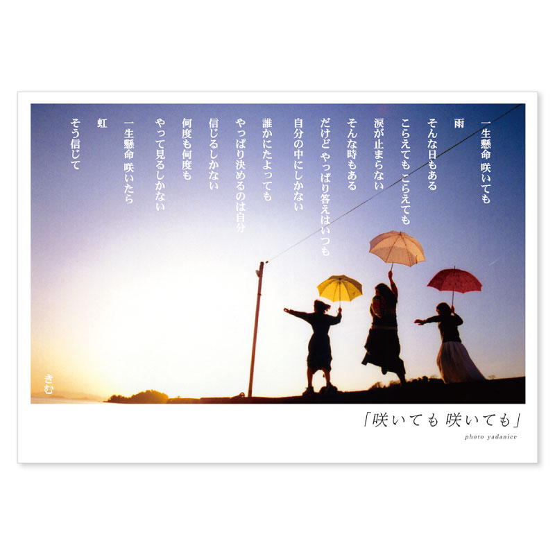 詩人きむ 言葉の応援ポストカード 「咲いても咲いても」 名言 格言